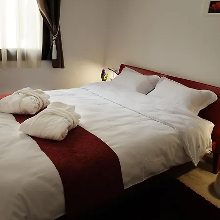 Aparthotel Dominus Cluj-Napoca